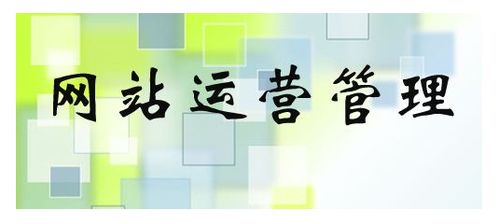 電子商務(wù)網(wǎng)站運(yùn)營 核心要素與關(guān)鍵注意事項(xiàng)